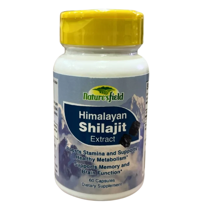 Himalayan-Shilajit-1-scaled-e1771950774858 Himalayan-Shilajit-1-scaled-e1771950774858